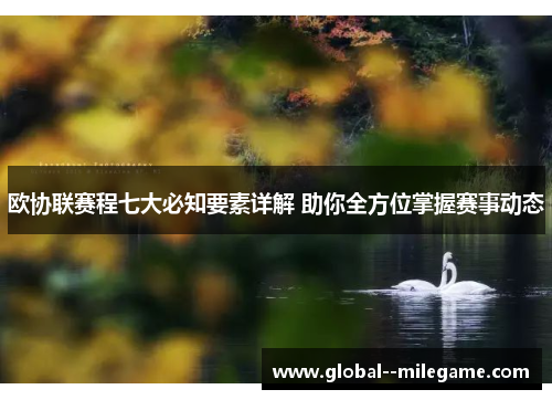欧协联赛程七大必知要素详解 助你全方位掌握赛事动态
