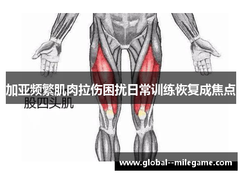 加亚频繁肌肉拉伤困扰日常训练恢复成焦点 加亚频繁肌肉拉伤困扰日常训练恢复成焦点